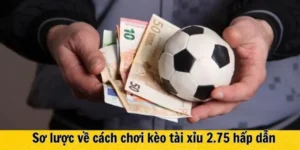 Bí Quyết Đọc Kèo 2.75 Tại NowGoal Hiệu Quả Nhất Cho Cược Thủ