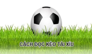 Bí Quyết Đánh Kèo Tài Xỉu Tại NowGoal Hiệu Quả Cao