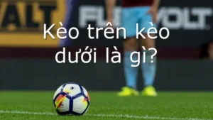 Kinh Nghiệm Chơi Kèo Trên Kèo Dưới Tại NowGoal Thắng Lớn
