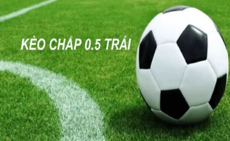 Chiến Thuật Đọc Kèo Chấp 0.5 Tại NowGoal Chuẩn Xác Dễ Áp Dụng