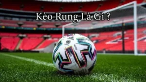 Hướng Dẫn Soi Kèo Rung Trong Bóng Đá Tại NowGoal Hiệu Quả