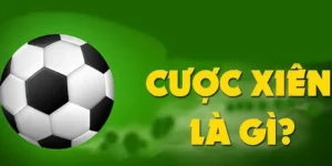 Cách Chơi Kèo Xiên Trong Bóng Đá Tại NowGoal An Toàn Dễ Hiểu